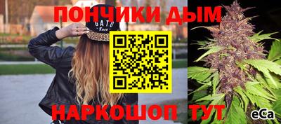 гидропоника Краснознаменск