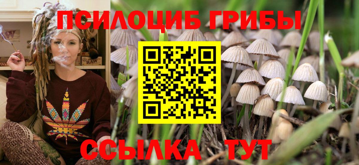 Псилоцибиновые грибы Magic Shrooms  Вход с VPN  Казань 